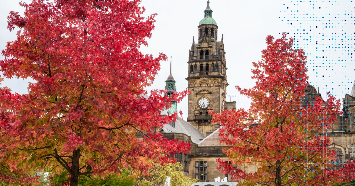 Sheffield city center in autumn with vibrant red maple trees